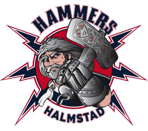 Hammersguiden VÄLKOMMEN TILL HALMSTAD HAMMERS I den här guiden har vi samlat information om Halmstad Hammers som förening våra övergripande målsättningar, förhållningssätt, riktlinjer och principer