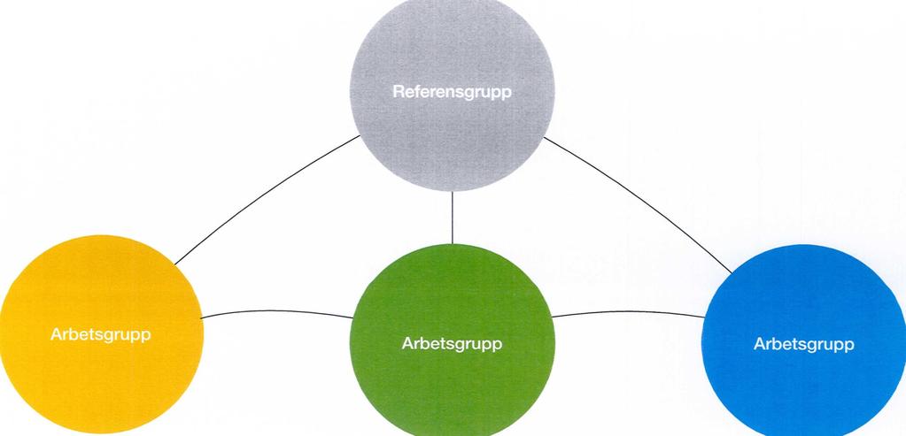 Att möta olikheter Referensgrupp