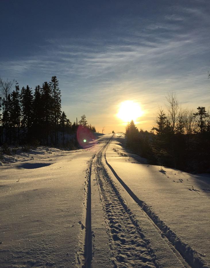 skapar tusentals jobb.