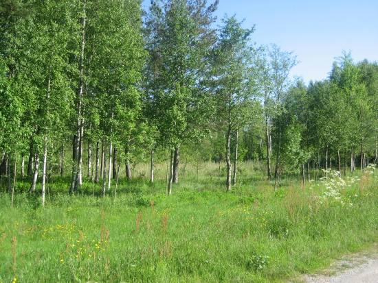 För närvarande får kommunen kostnadsfritt nyttja marken där återvinningscentralen ligger.