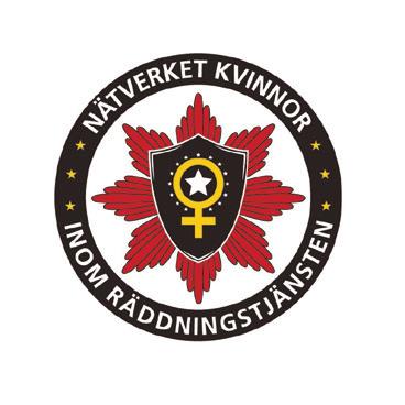 Varför Social byggnorm? Hur kan en organisation utvecklas till att bli mer jämställd?