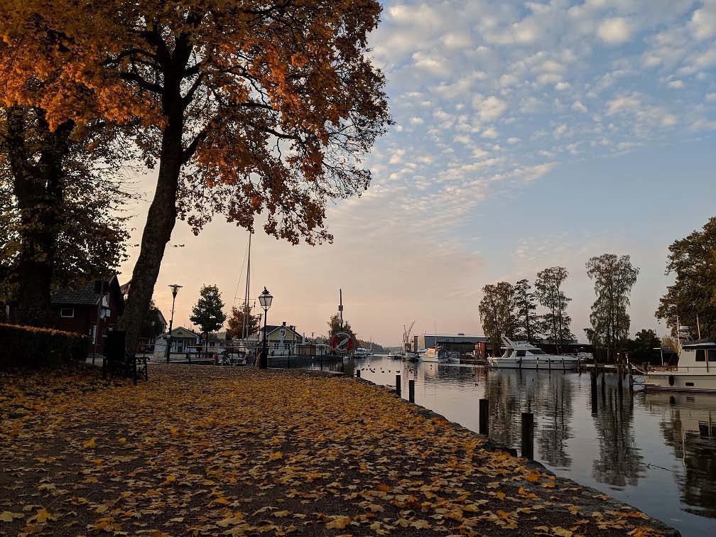 Allmänna lokala ordningsföreskrifter för Trosa kommun Antagen av: Dokumentkategori: