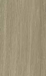 PALE LANCELOT OAK