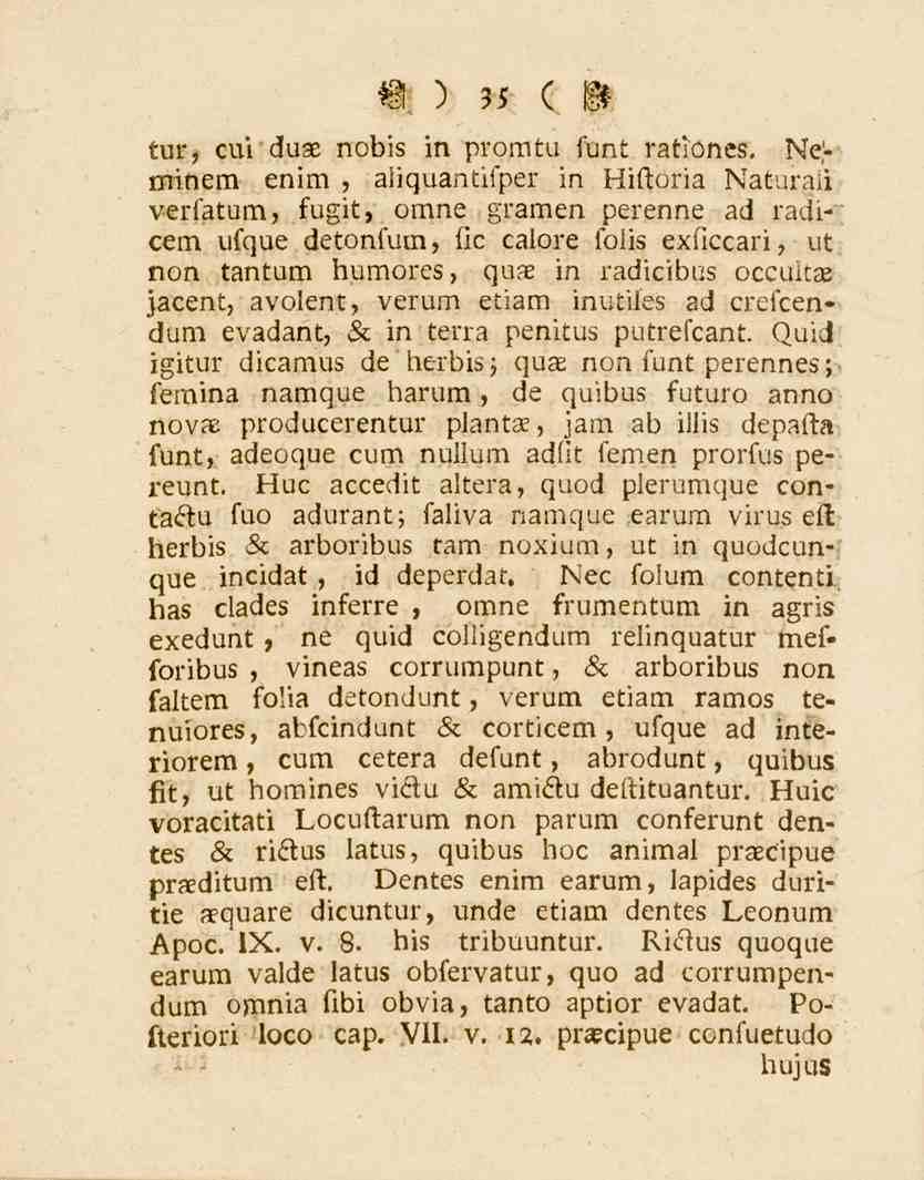 35 tur, cvi duae nobis in promtu funt ratlones.