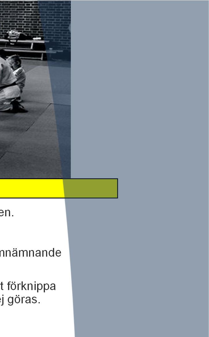 9 10 Dan Röd Bälte 1. Ar ghet (Reigi ) 5 Kyu Gult Bälte Gult bälte innebär att sponsorn bidrar med 1.000 kr till klubben.