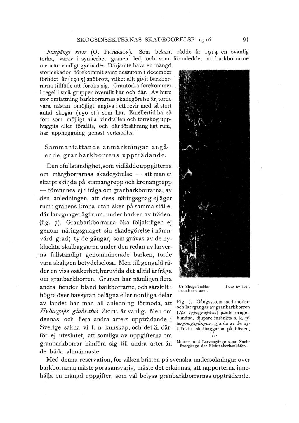 SKOGSINSEKTERNAS SKADEGÖRELSF I 9 I6 91 Finspångs revir (0. PRTERSON).