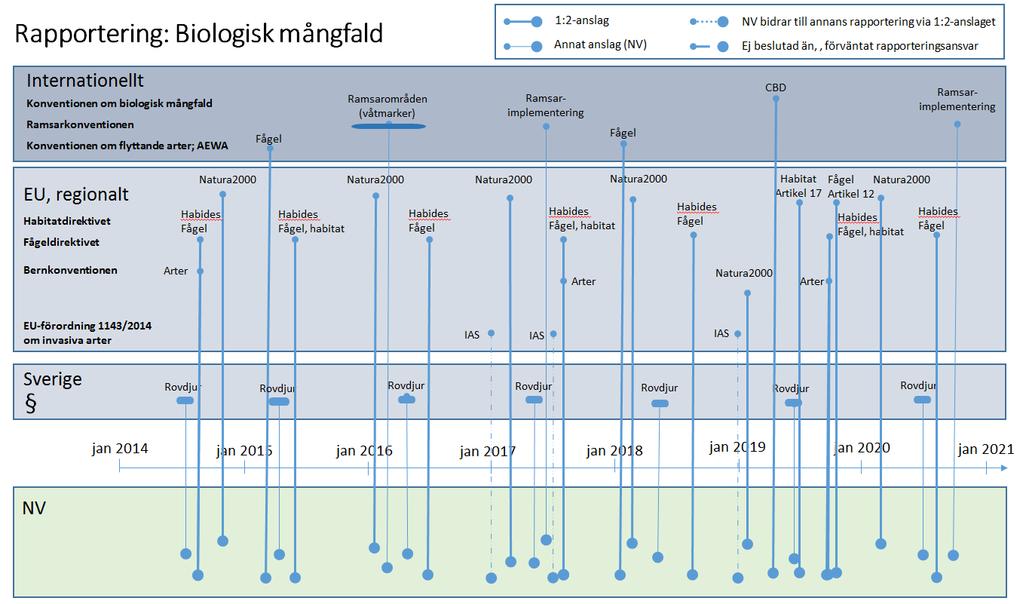 NATURVÅRDSVERKET 44(63) Figur 7. Rapporteringar enligt lag och internationella åtaganden är flera. Exemplet i figuren visar en översikt av rapporteringar inom området biologisk mångfald 2015-2020.