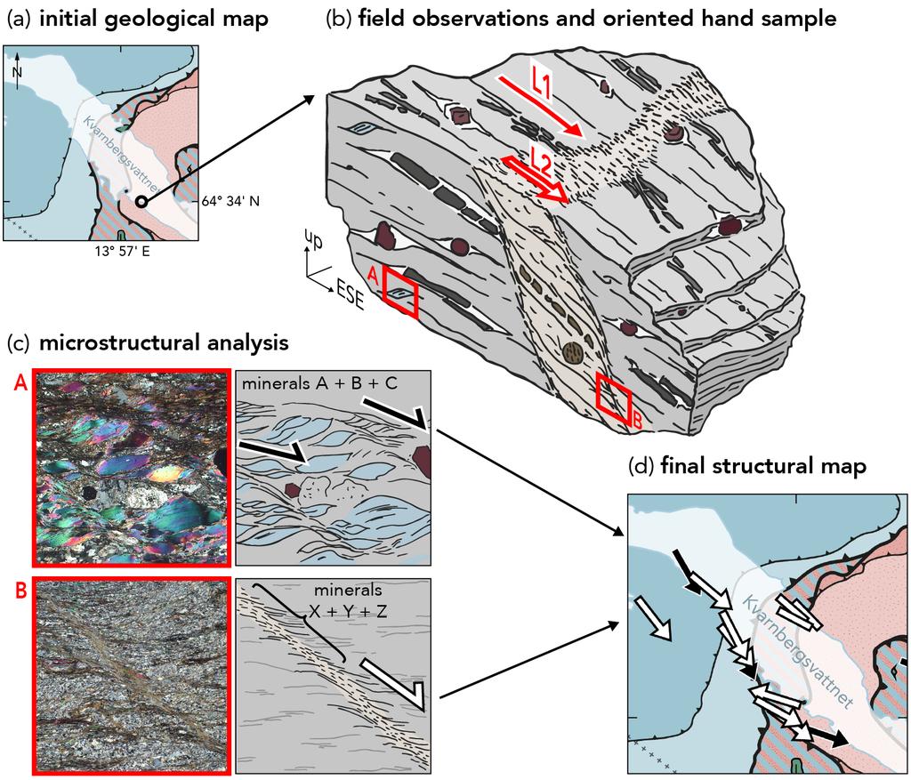 kinematic analysis utilizes all this information for reconstructing the movement of particles in a rock during deformation (Figure 4b c).