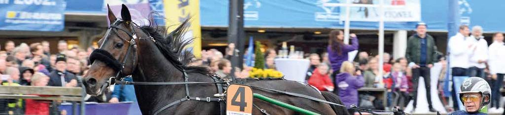 I paraden ingår olympier, paralympier, kuskarna till starthästarna i Olympiatravet samt Mölndals Paradorkester. Olympier tänder den olympiska elden. Nationalsången framförs av Mathilda Kronér.
