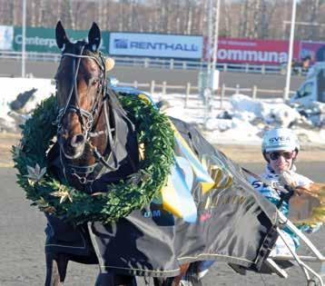 ! Två hemmatravare vi håller tummarna för! Lycka till! Lopp Antonio Trot Amazing Dream N.