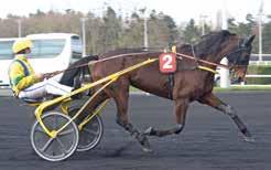 PREENTATION HÄTARNA I OLYMPIATRAVET FINAL ) BAHIA QUENOT Kusk unior Guelpa ) COACH FRANBLEU Kusk orma Kontio ) HANDOME BRAD Kusk Carl ohan epson Text: David Zackrisson Foto: TR BILD & Gerard Forni )