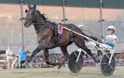 DAY OR NIGHT IN Kusk Peter Untersteiner ohan Untersteiners travare vann Derbyt och Breeders Crown som fyraåring och vann Copenhagen Cup ifjol.