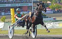 purtbesegrade bla Pastore Bob i äjnijoki Race senast och noterade då,8/m.