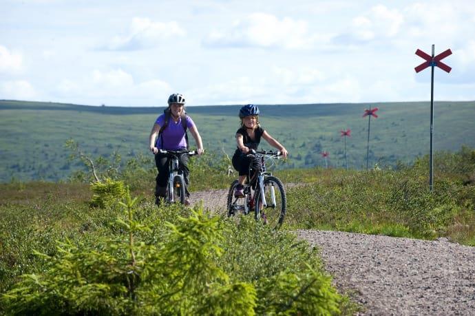 Vidareutveckla Biking Dalarna som produkt tillsammans med andra aktörer