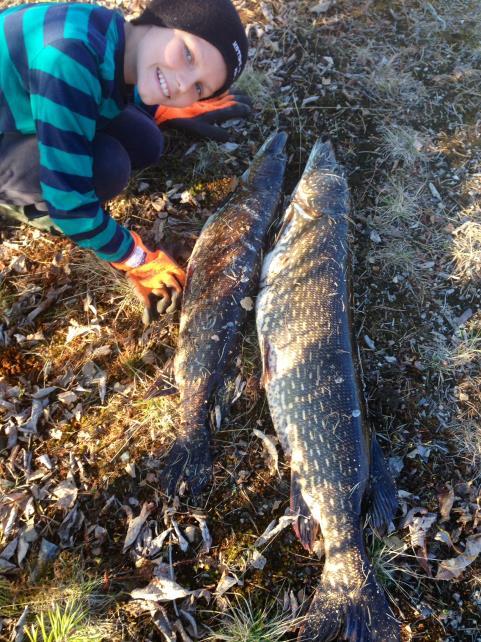 Fiskekorten går att handla på följande ställen: Dorotea kommuns turistbyrå Dorotea Sport & Fritid My Way OkQ8 DoroCamp Lappland Ifiske (sms eller via nätet) http://www.ifiske.