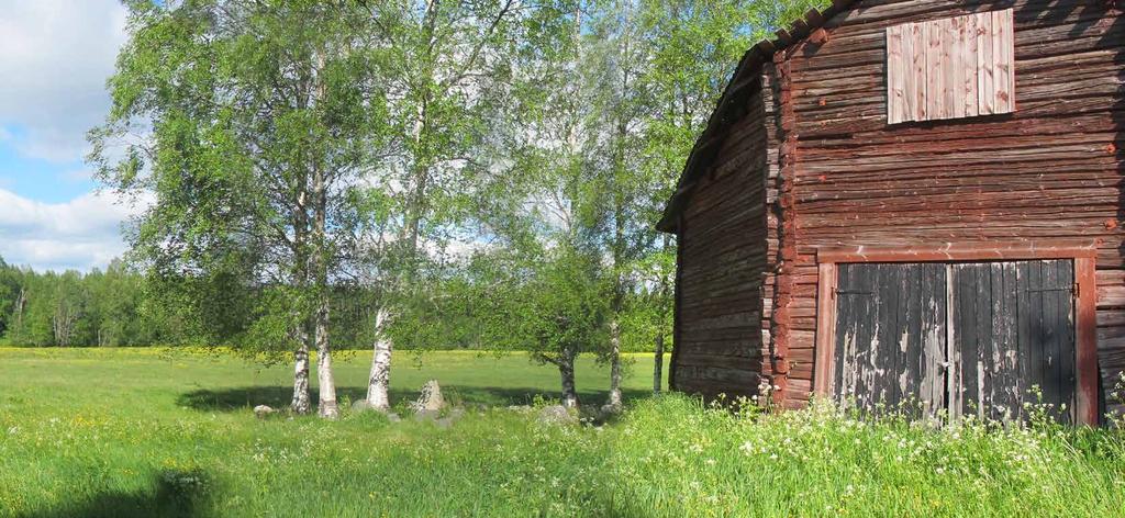 GESTALTNINGSPROGRAM Norrbotniabanan, Umeå-Dåva