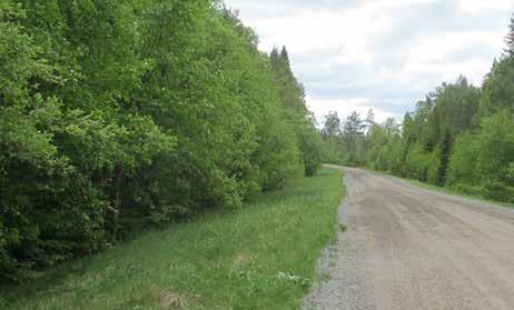 5.2 Umeå godsbangård Järnvägsplanen börjar i utkanten av Umeå godsbangård, figur 5.2. På den södra sidan av spårområdet ligger nyanlagda byggnader för grossistverksamhet av typ Martin&Servera och på den norra sidan avgränsas godsbangården av I 20-skogen.