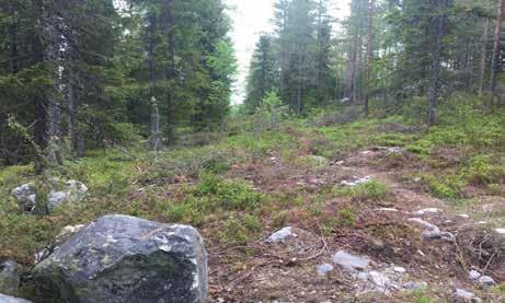 Den östra slänten mot I20 skogen kommer att förskjutas ett par meter in mot skogen och en dagvattendamm kommer att anläggas vid sidan av godsbangården.