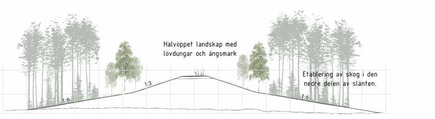 Närmast cykelvägen skapas ett halvöppet ängs- och hagmarkslandskap med glest placerade lövdungar. Figur 5.
