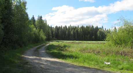 Landskapbildsvärden och rekreationsvärden Landskapsbilden är komplex med höga värden som kännetecknas av småskalighet, variationsrikedom, lugn och ro, smala ägovägar och stigar som följer i kanten av