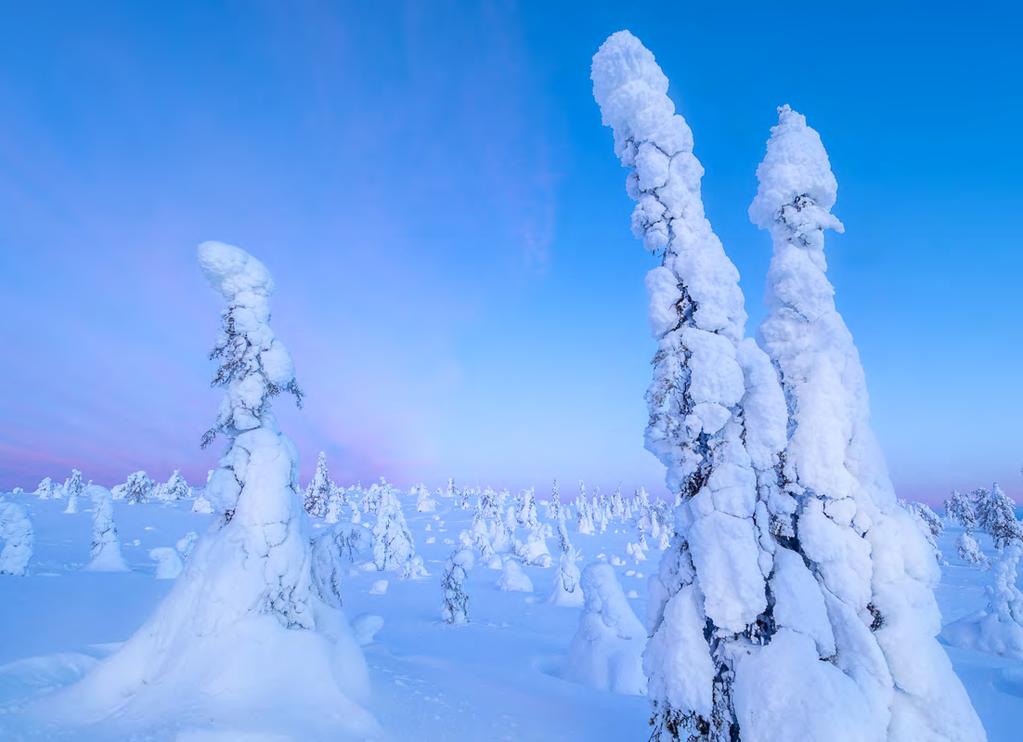 ETT VINTERPARADIS I RIISITUNTURI NATIONALPARK I fokus på denna workshop: Fotografera i