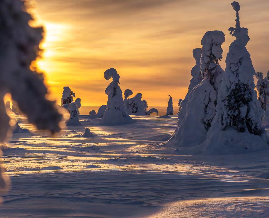Har du någonsin undrat om det finns något ställe där snölandskapet är så vackert så det känns som det är direkt hämtat ur en dröm?