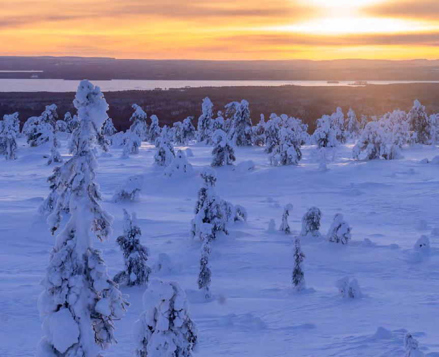 ETT VINTERPARADIS I RIISITUNTURI NATIONALPARK - PDF Gratis nedladdning