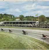 Under 1930- talet etablerades en galopp- och travbana söder om Frölundagatan.
