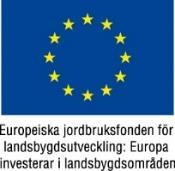 möjligheter inom