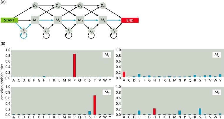 Profile Hidden Markov Models (phmm) S.