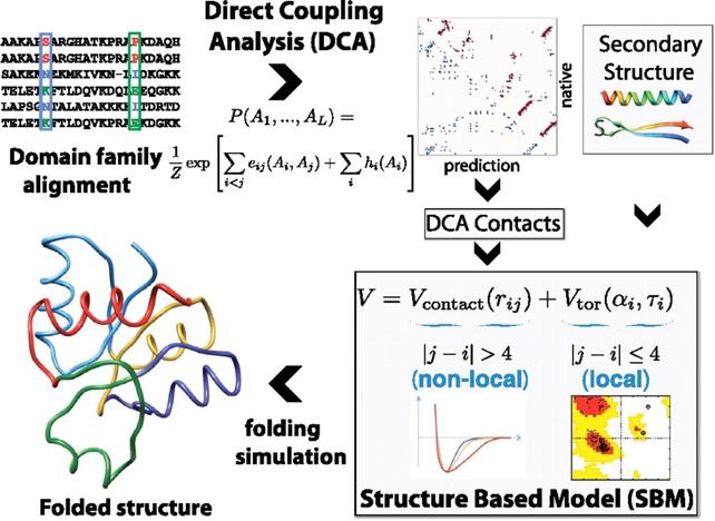 From contacts to 3D structure