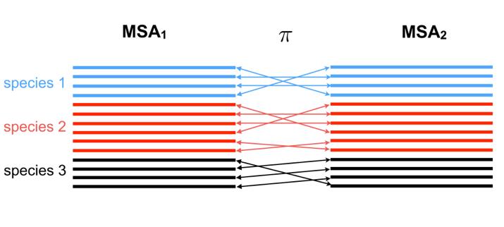 DCA for protein-protein interaction how to detect inter-protein residue contacts in protein complexes?