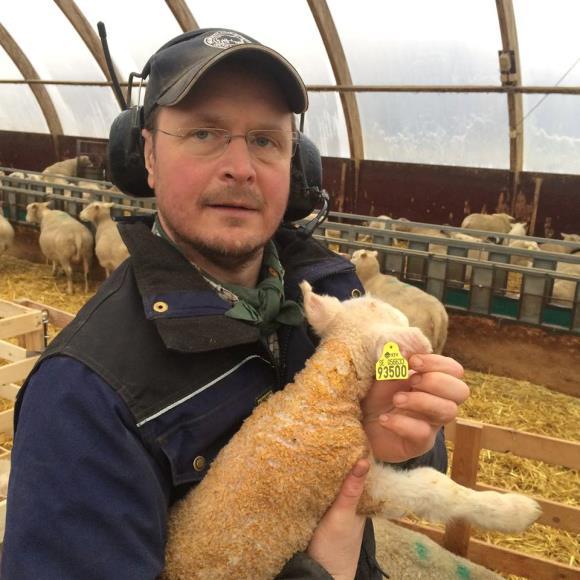Foto: Titti Strömne Johnny Nederman - Hornsund Johnny Nedermann på Hornsunds gård bygger för närvarande upp en fårbesättning med målet att hålla 500 finullstackor.