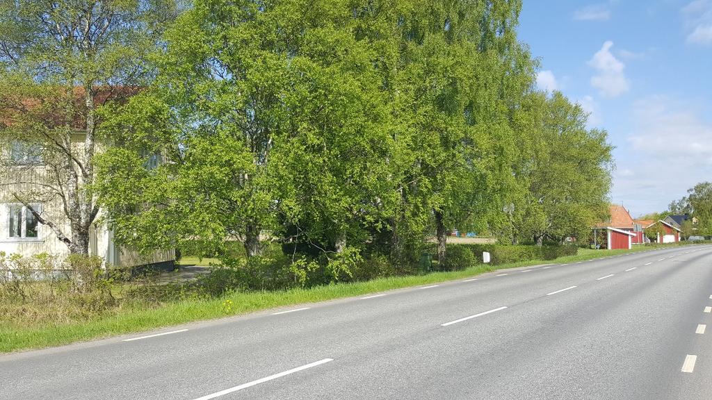 Äldre björkallé Naturvärdesklass: 3 Objekt-ID Inventeringsdatum Naturtyp Biotoper 3 2016-05-30 Park och trädgård Allé Biotopvärde Artvärde Natura 2000-naturtyp Naturvårdsarter Påtagligt Visst