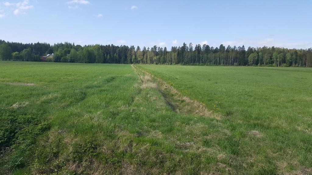 Dike Naturvärdesklass: 4 Objekt-ID Inventeringsdatum Naturtyp Biotoper 5 2016-05-30 Småvatten Dike Biotopvärde Artvärde Natura 2000-naturtyp Naturvårdsarter Visst Obefintligt - - Objektsbeskrivning: