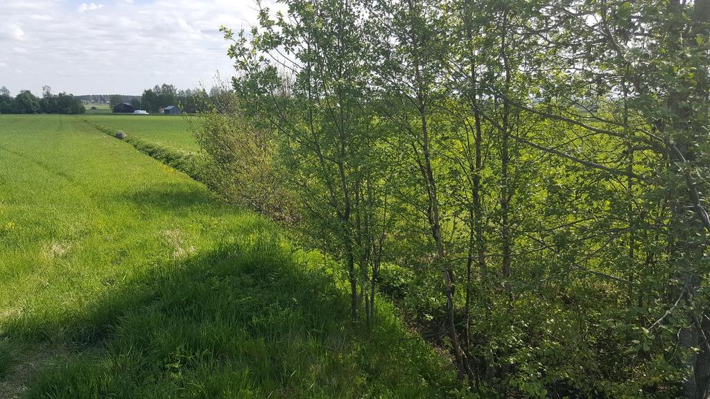 Dike Naturvärdesklass: 4 Objekt-ID Inventeringsdatum Naturtyp Biotoper 6 2016-05-30 Småvatten Dike Biotopvärde Artvärde Natura 2000-naturtyp Naturvårdsarter Visst Obefintligt - - Objektsbeskrivning: