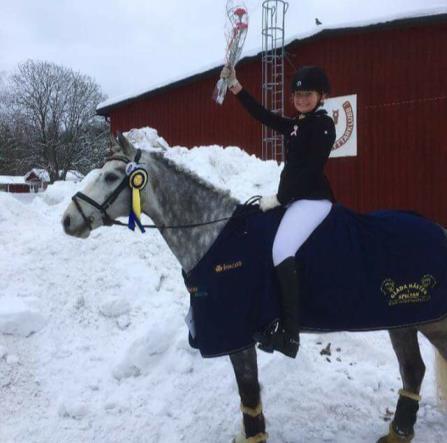 Båda ekipagen gjorde fina ritter och kom hem med nya erfarenheter och fick mersmak. Ponny Alma Myrin på ponnyn Jacobs Ashe har vart klubbens mest framgångsrika ponnyekipage under 2018.