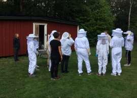 Samarbete med Montessoriskolan Vi kommer även i år ha ett samarbete med Montessoriskolan i Stenungsund.