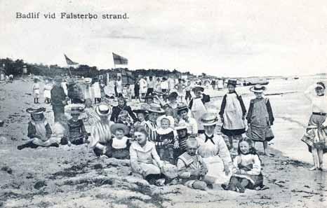 På Ljungen under 25 år, forts. och du kan botanisera hur du vill. Vi har lagt vår logga på bilderna och det är meningen om man vill ha en bild i högre upplösning mot en mindre avgift tas loggan bort.