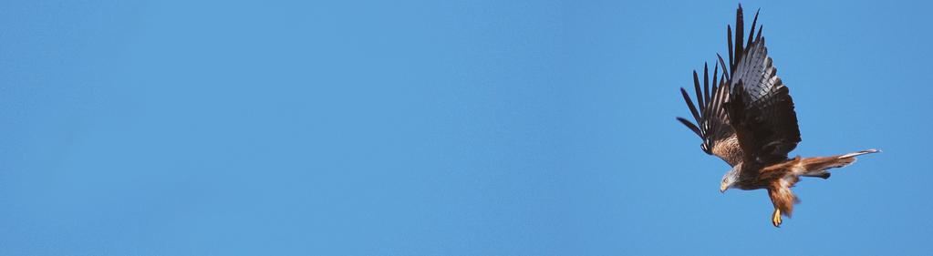 Strategiområde 4 - Trygghet och hälsa MÅLOMRÅDE 4:1 I Tomelilla kommun känner sig alla trygga och säkra. Den offentliga miljön har en betydande roll och är estetiskt tilltalande.