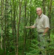 100 000 anledningar att sköta sin skog Skillnaden mellan att sköta sin skog