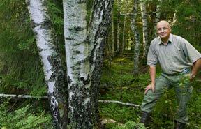 Här nedan kan du se skillnaden i skogen efter 80 år, både hur det ser ut i