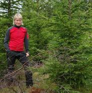 se 1605 Oskött skog 15 år 30 år 80 år Oröjd skog Nu är röjningsbehovet