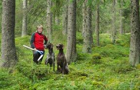 Intäkt: +40 000 kr/ha Skött skog 15 år 30 år 80 år Oröjd skog Nu är