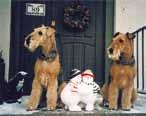 Airedale-vänner God Jul & Ett riktigt bra 2015 önskar vi
