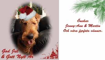 GOD JUL OCH ETT GOTT NYTT ÅR önskar kennel COPPERSTONE God Jul och