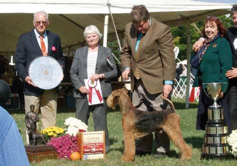 Sverigebekanta Longvue Jackpot, Jax, blev bästa veteran. Foto: Johan Hedén vara över sju år. Efter detta kommer Best of Breed Competition.