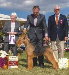 Lucy vackrast Min Bäst i rasen-vinnare Champion Darling Lucy in The Sky with Diamonds, fångade mitt öga omedelbart hon kom in i ringen, trots alla de andra vackra hundarna.