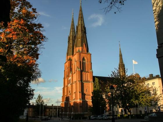 Utöver historiska pusselbitar bjuder lärdomsstaden på otroligt vackra grönområden och många cyklister. Uppsala är cykelstaden nummer ett.