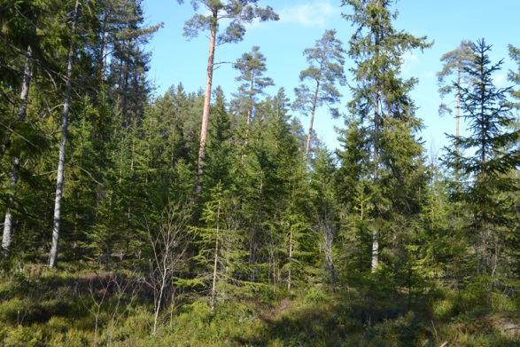 SAMFÄLLIGHETER, GEMENSAMHETS- ANLÄGGNINGAR: Enligt fastighetsregistret har fastigheten